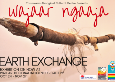 Wajaar Ngaaja Earth Exchange Exhibition