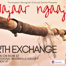 Promoting the Waajar Ngaaja Earth Exchange Exhibition
