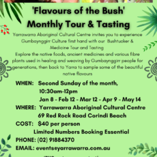Monthly Bush Tucker and Medicine Tour at Yarrawarra Aboriginal Cultural Centre