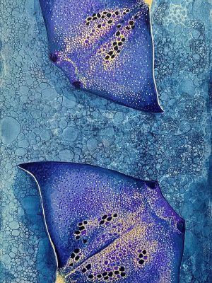 Gaagal Exhibition: Artowork Stingray waters by Alison Williams